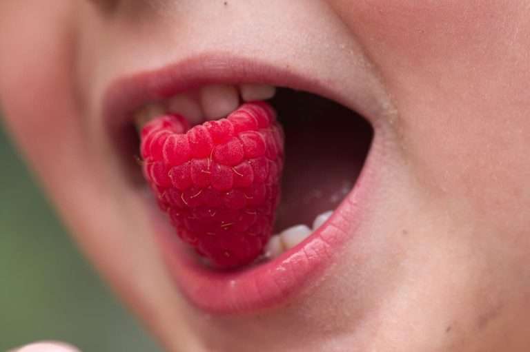 Denti Forti, Vita Sana: Come la Nutrizione Influisce sulla Salute Dentale
